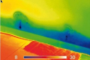 Mouldy Wall 300x199  Water Damage Investigation and Moisture Mapping