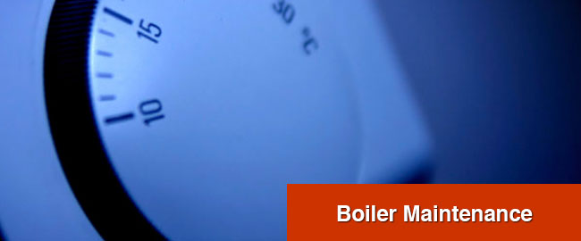 Boiler Maintenance Essex